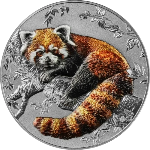 2025 2 oz Niue Island - Red Panda Silver Coin (3)