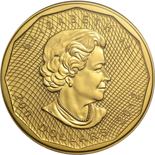 Any Year 1oz Canadian Gold Maple Leaf - 99999 (3)